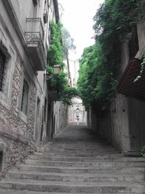 Enlarge photo 48