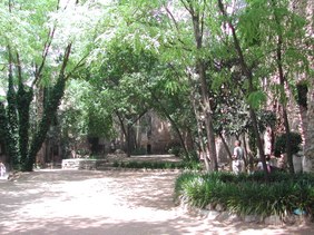 Enlarge photo 59