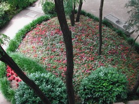 Enlarge photo 63