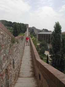 Enlarge photo 65