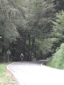 Enlarge photo 127