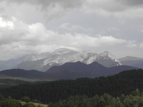 Enlarge photo 130