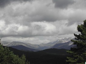 Enlarge photo 131