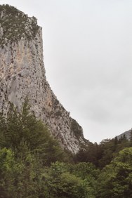 Enlarge photo 150