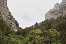 Enlarge photo 151