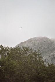 Enlarge photo 153