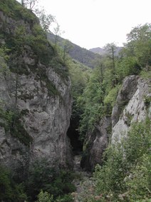 Enlarge photo 162