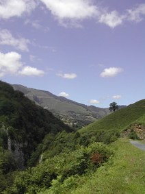 Enlarge photo 163