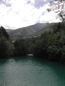 Enlarge photo 164