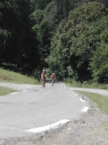 Enlarge photo 186