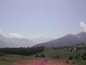 Enlarge photo 191