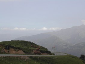 Enlarge photo 193