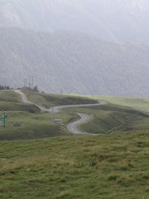 Enlarge photo 195