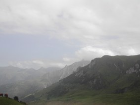 Enlarge photo 199