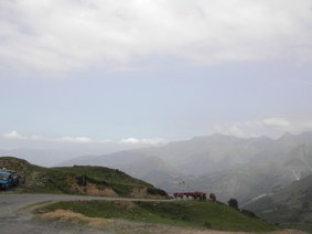 Enlarge photo 200