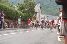 Enlarge photo 226