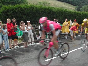 Enlarge photo 235