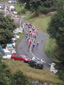 Enlarge photo 244