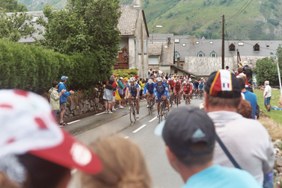 Enlarge photo 253