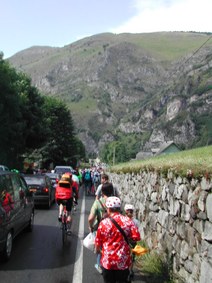Enlarge photo 259
