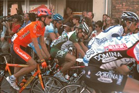 Enlarge photo 307