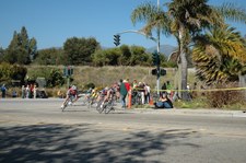 Enlarge photo 29
