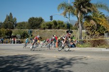Enlarge photo 30