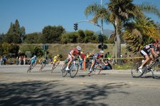Enlarge photo 31