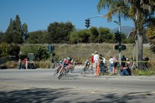 Enlarge photo 79