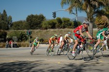 Enlarge photo 87