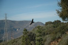 Enlarge photo 160