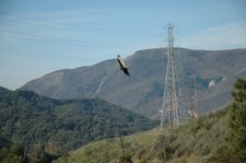 Enlarge photo 161