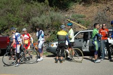 Enlarge photo 177