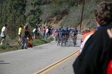 Enlarge photo 188