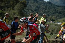 Enlarge photo 209