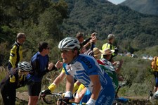 Enlarge photo 210