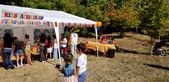 Enlarge photo 50