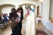 Enlarge photo 38