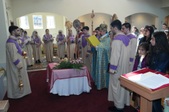 Palm-Sunday