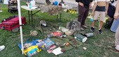 Enlarge photo 30