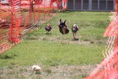 Enlarge photo 23