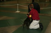 Enlarge photo 32