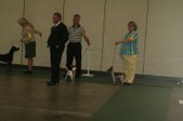 Enlarge photo 113