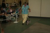 Enlarge photo 143