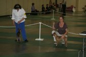 Enlarge photo 145