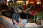 Enlarge photo 228