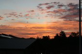 Enlarge photo 232
