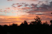 Enlarge photo 235
