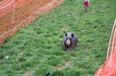 Enlarge photo 119