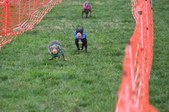 Enlarge photo 135
